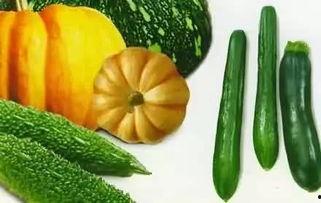 吃瓜点灯,吃瓜点灯，一窥明星幕后生活