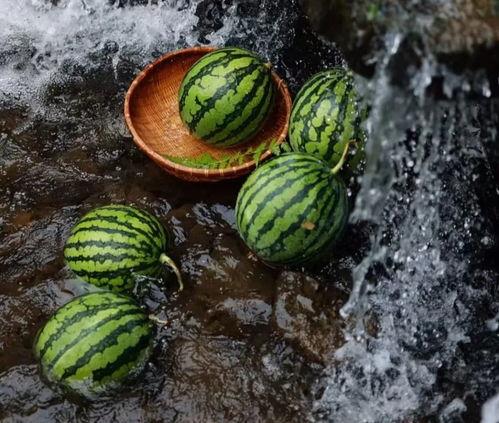 安全吃瓜小知识,轻松享受夏日清凉，远离健康隐患