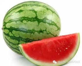 五年吃瓜,娱乐圈风云录