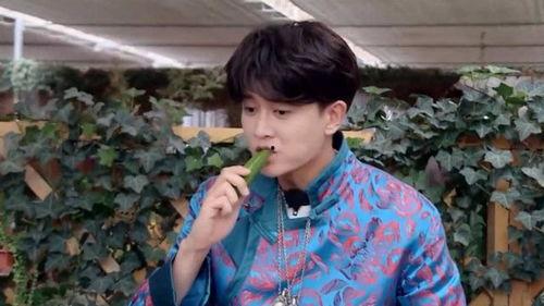 吃瓜直播任嘉伦