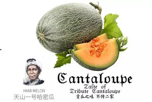 吃瓜群众是集群,网络集群现象背后的社会心理解析