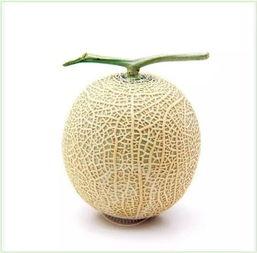 新的吃瓜方法,让你轻松成为社交达人