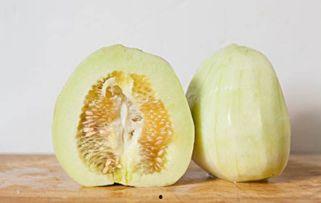 未熟瓜能否吃,揭秘成熟与口感之谜