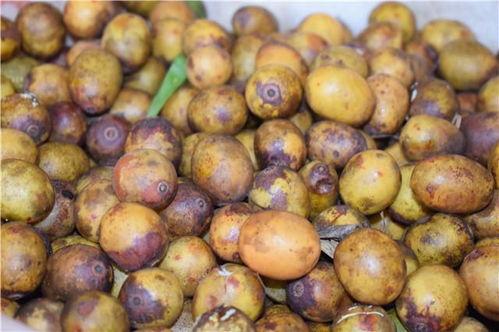 枣村吃瓜,一场别开生面的吃瓜盛宴