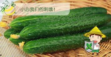 吃瓜剪辑怎么配,揭秘吃瓜剪辑背后的趣味与技巧