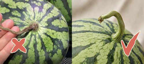 港台吃瓜,揭秘明星幕后故事