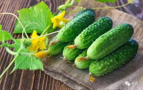 炎热的夏天吃瓜,清凉瓜果盛宴