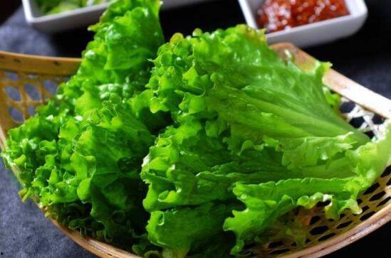 吃生菜生瓜,生菜生瓜的养生之道