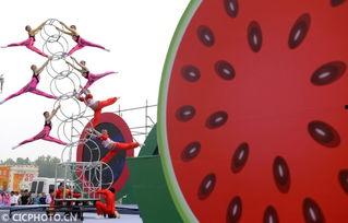 吃瓜夏邑,揭秘这座古城的美食传奇