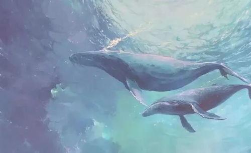 带你吃瓜解说鲸落,带你探索深海中的神秘盛宴