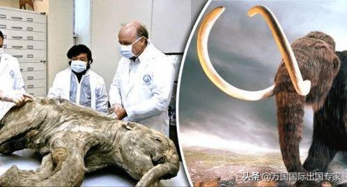 远古吃瓜热门事件,揭秘那些年轰动一时的神秘事件