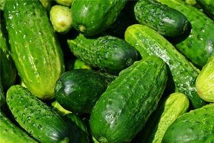 梦见走路吃瓜孑,行走间品味瓜果香