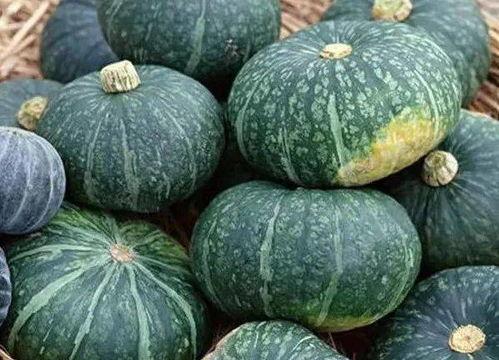 19.9吃瓜,夏日消暑新选择