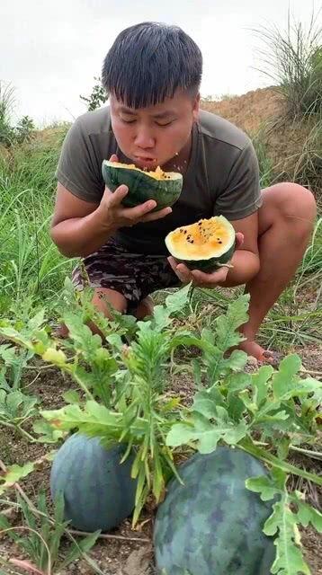 吃小瓜胖吧,揭秘瓜类美食的增肥奥秘