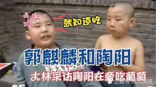 陶阳吃瓜,揭秘娱乐圈幕后故事