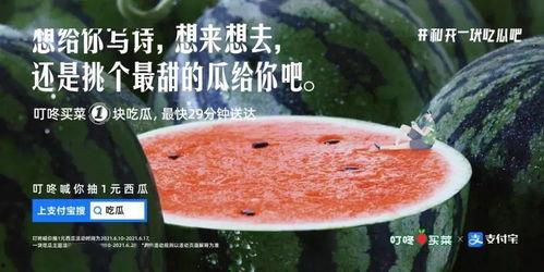 支付宝的吃瓜文案,揭秘支付界的趣味风云