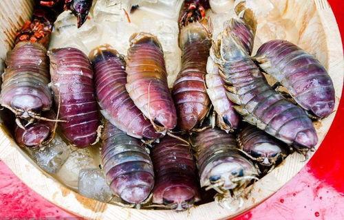 带你吃瓜奇怪的食物,带你品尝那些令人惊奇的瓜界美食