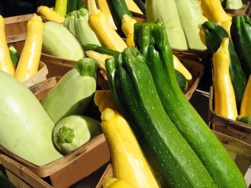 吃瓜吃掉整个夏天,一瓜尽享清凉盛夏