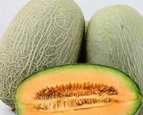 吃哈 蜜瓜吃哈密瓜好,探寻甜蜜的异域风味